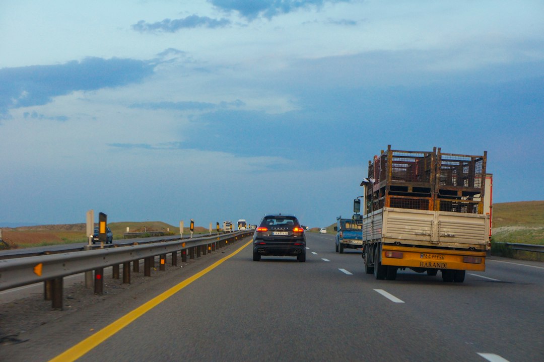 Vehicle carrier for professional auto transport